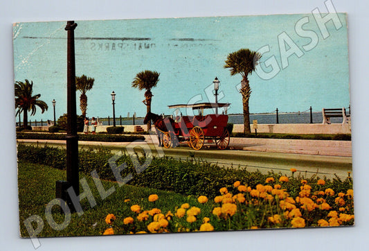 Pohlednice USA St. Augustine pobřeží s kočárem 1972 (M31334)