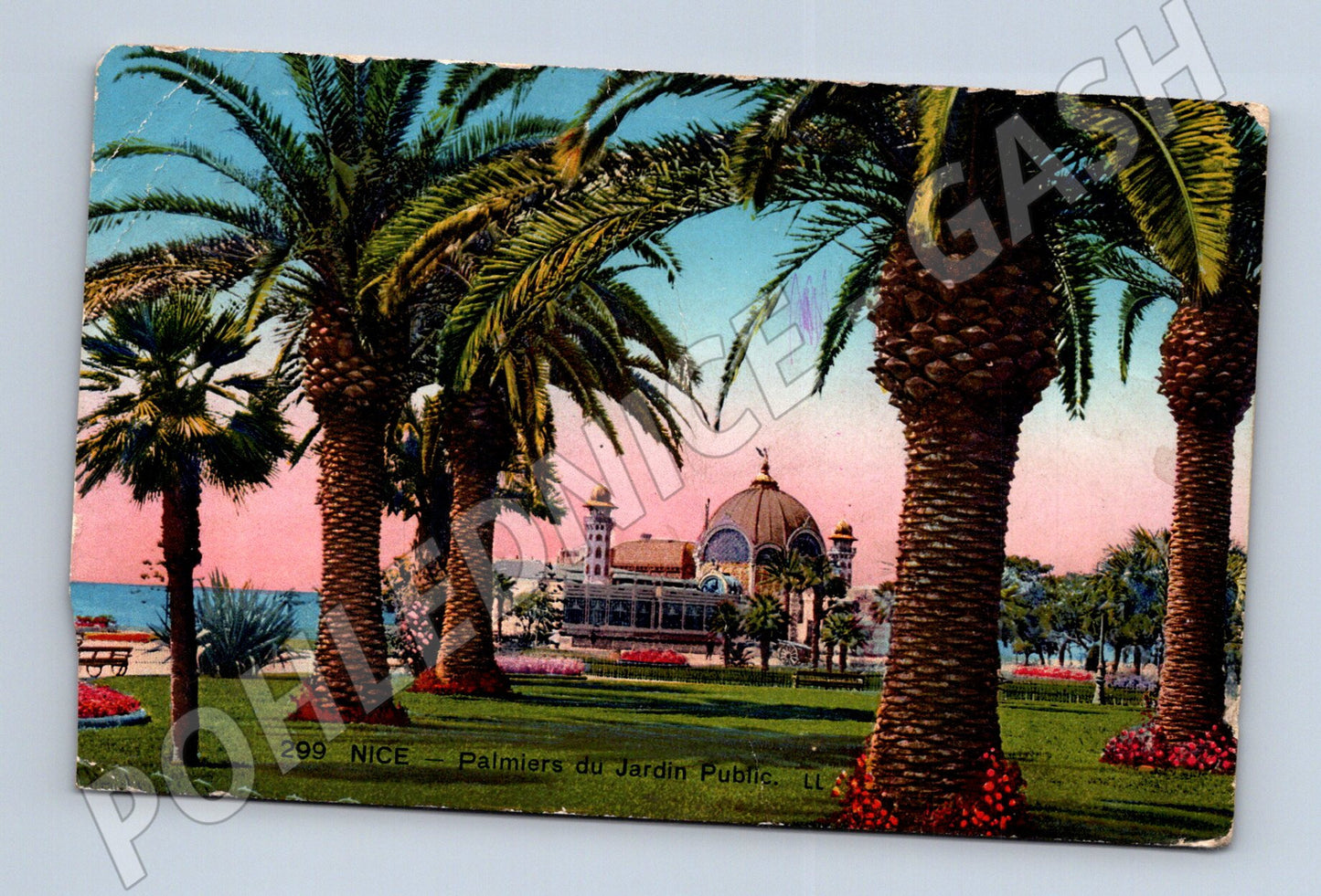Pohlednice Francie Nice Palmiers du Jardin Public (M31358)