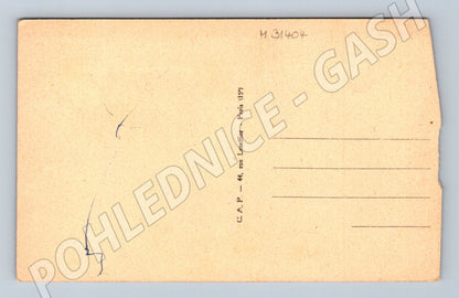 Pohlednice Francie Versailles park se sochami (M31404)