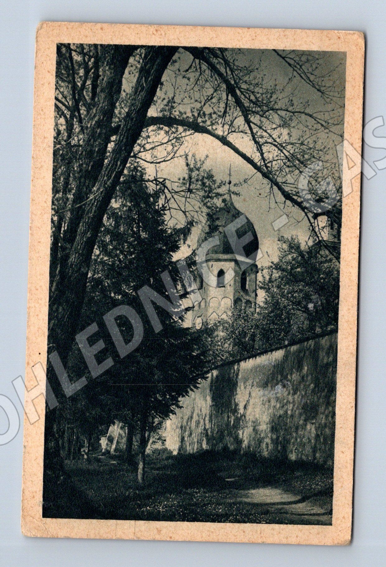 Pohlednice Německo Frauen-Insel Chiemsee (M31428)