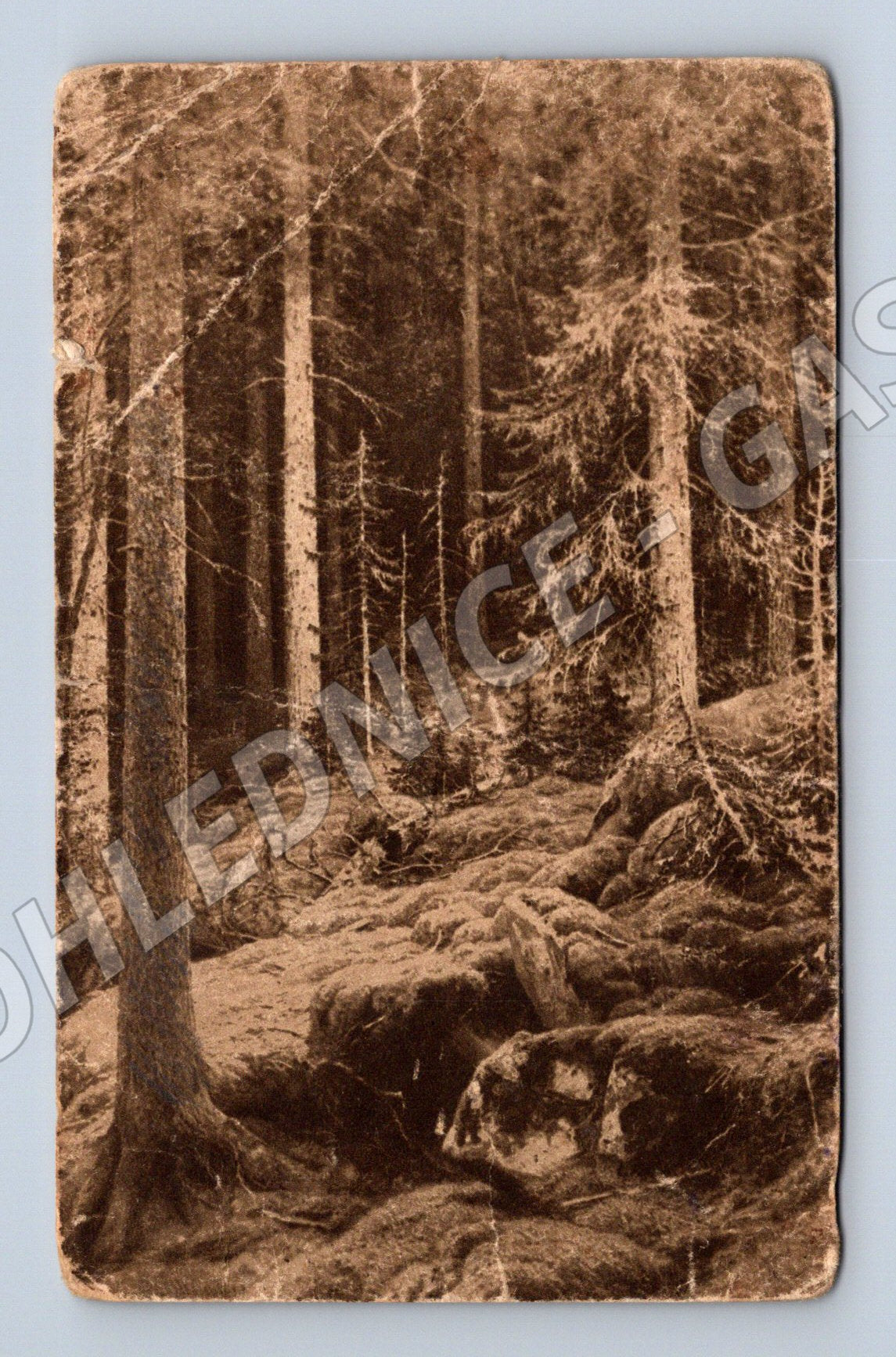 Pohlednice Rusko podzemní chodba 1915 (M31450)