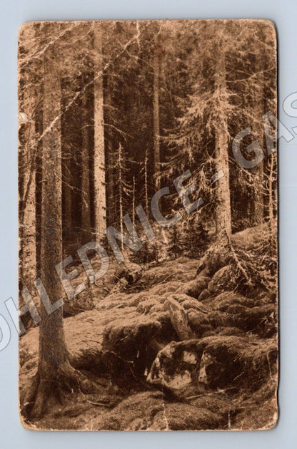 Pohlednice Rusko podzemní chodba 1915 (M31450)