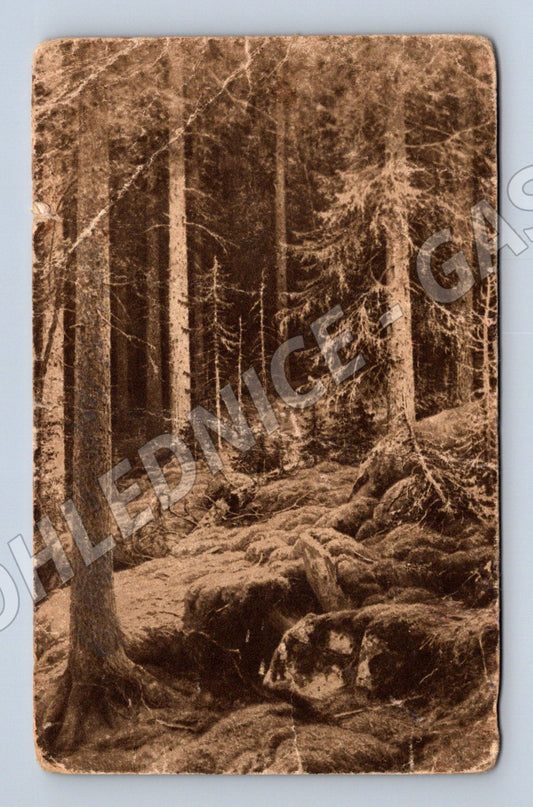 Pohlednice Rusko podzemní chodba 1915 (M31450)