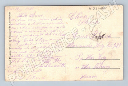 Pohlednice Rakousko Lichtenwörth - Nadelburg 1913 (M31488)