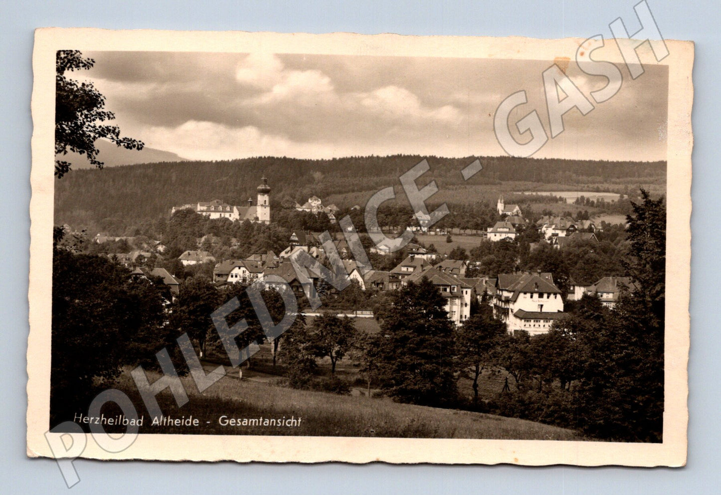 Pohlednice Německo Herzheilbad Altheide Gesamtansicht (M31507)