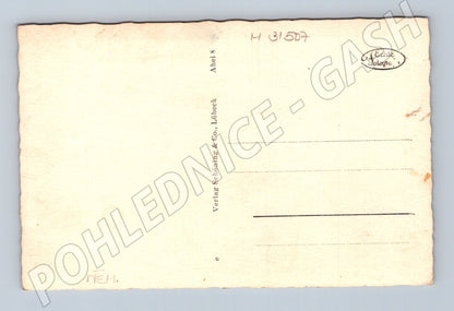 Pohlednice Německo Herzheilbad Altheide Gesamtansicht (M31507)