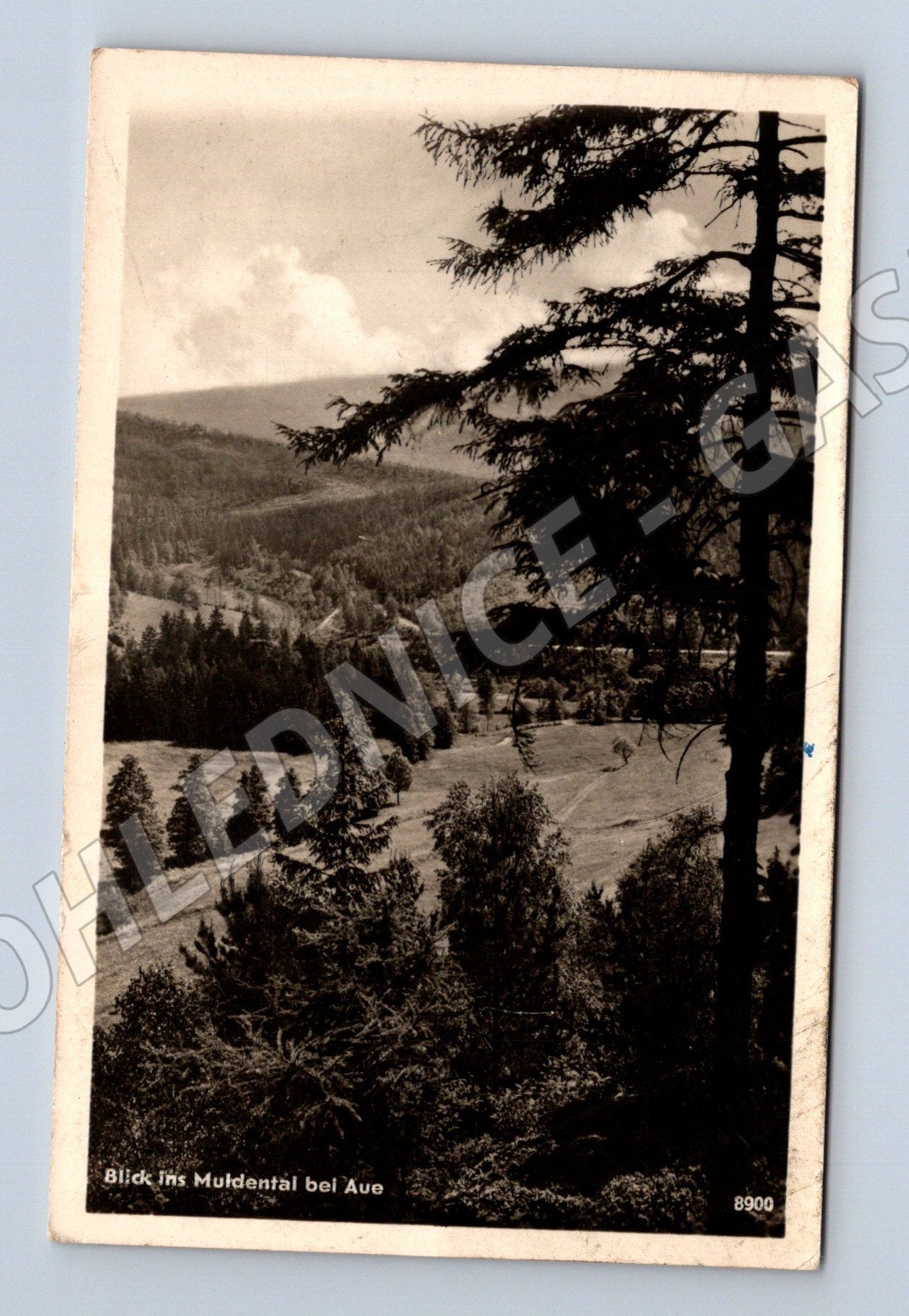 Pohlednice Německo Aue Muhrdental 1955 (M31522)