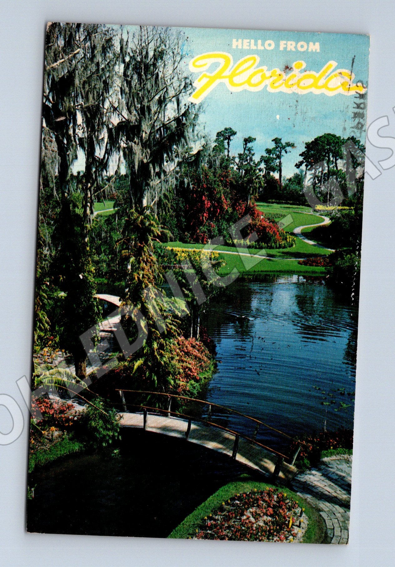 Pohlednice USA Florida park jezero 1972 (M31554)