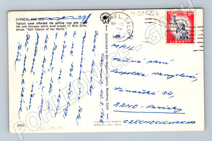 Pohlednice USA Monterey Cypress tree 1962 (M31557)