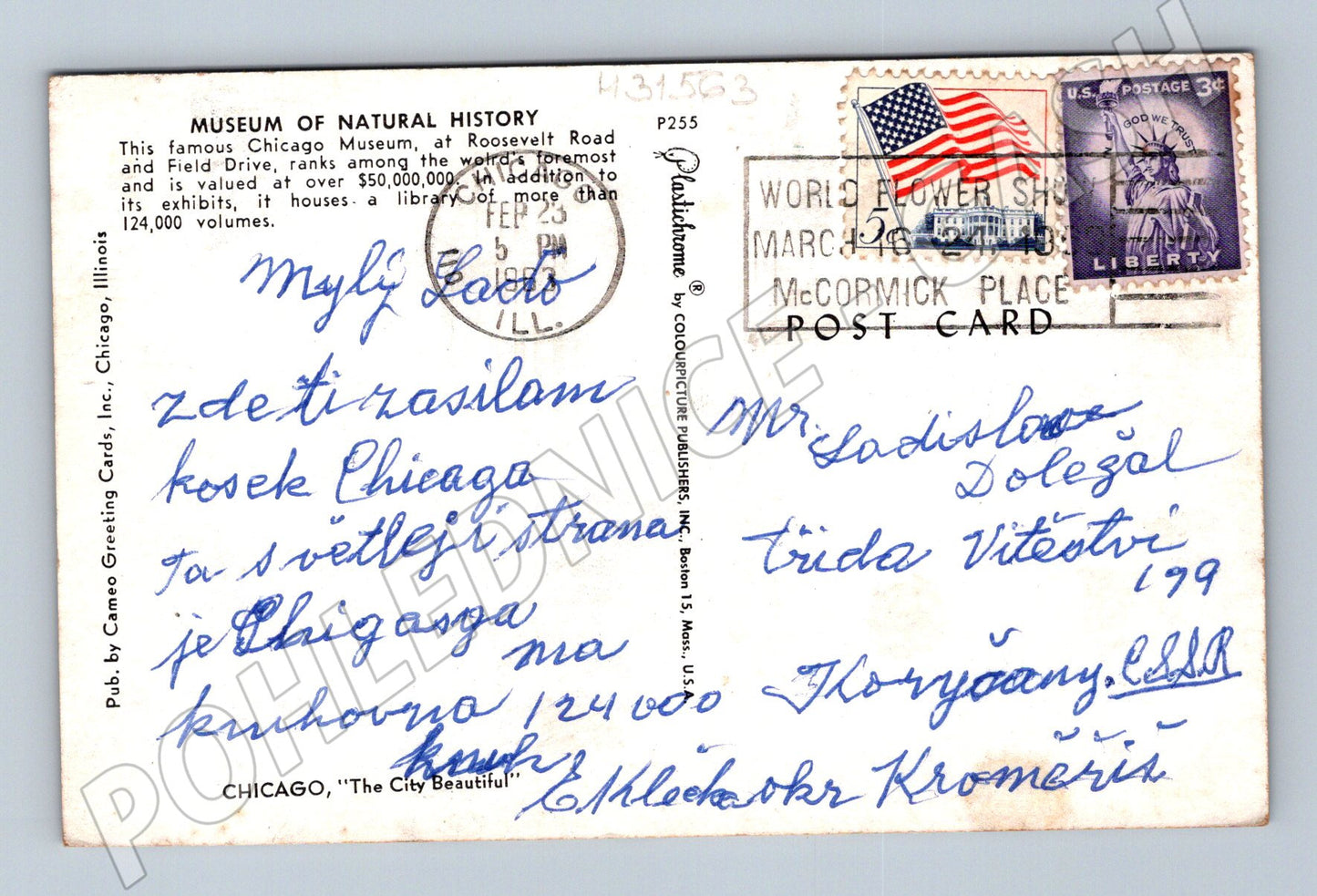 Pohlednice USA Chicago Museum of Natural History 1960s (M31563)