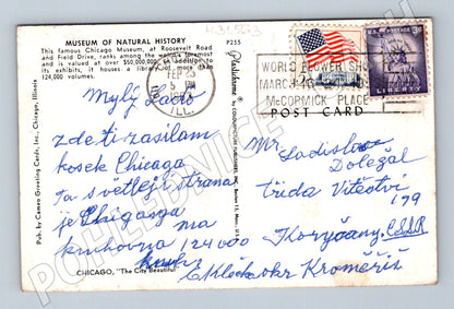 Pohlednice USA Chicago Museum of Natural History 1960s (M31563)