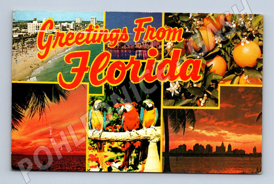 Pohlednice USA Florida koláž motivů 1973 (M31568)
