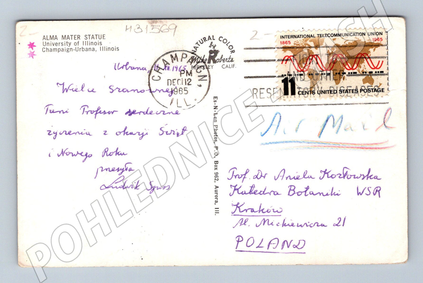 Pohlednice USA Alma Mater Statue Illinois 1965 (M31569)