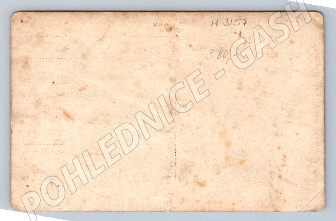 Pohlednice vojenská skupina se psy etnografie (M3157)