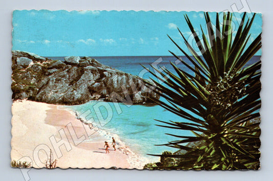 Pohlednice Bermuda zátoka pláž 1969 (M31570)