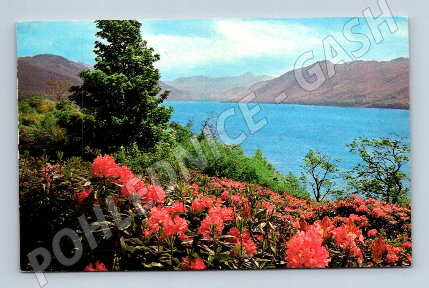 Pohlednice Velká Británie Loch Broom krajina 1977 (M31595)