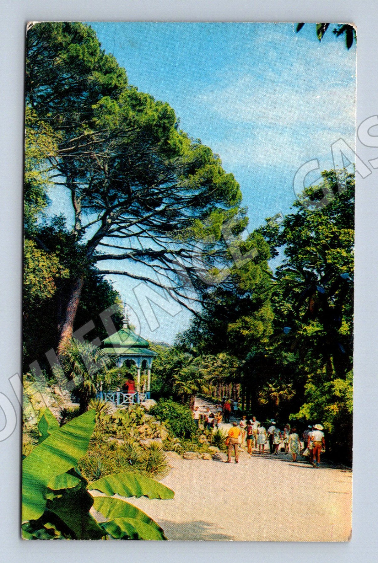 Pohlednice Rusko Nikitsky Botanical Garden 1976 (M31627)