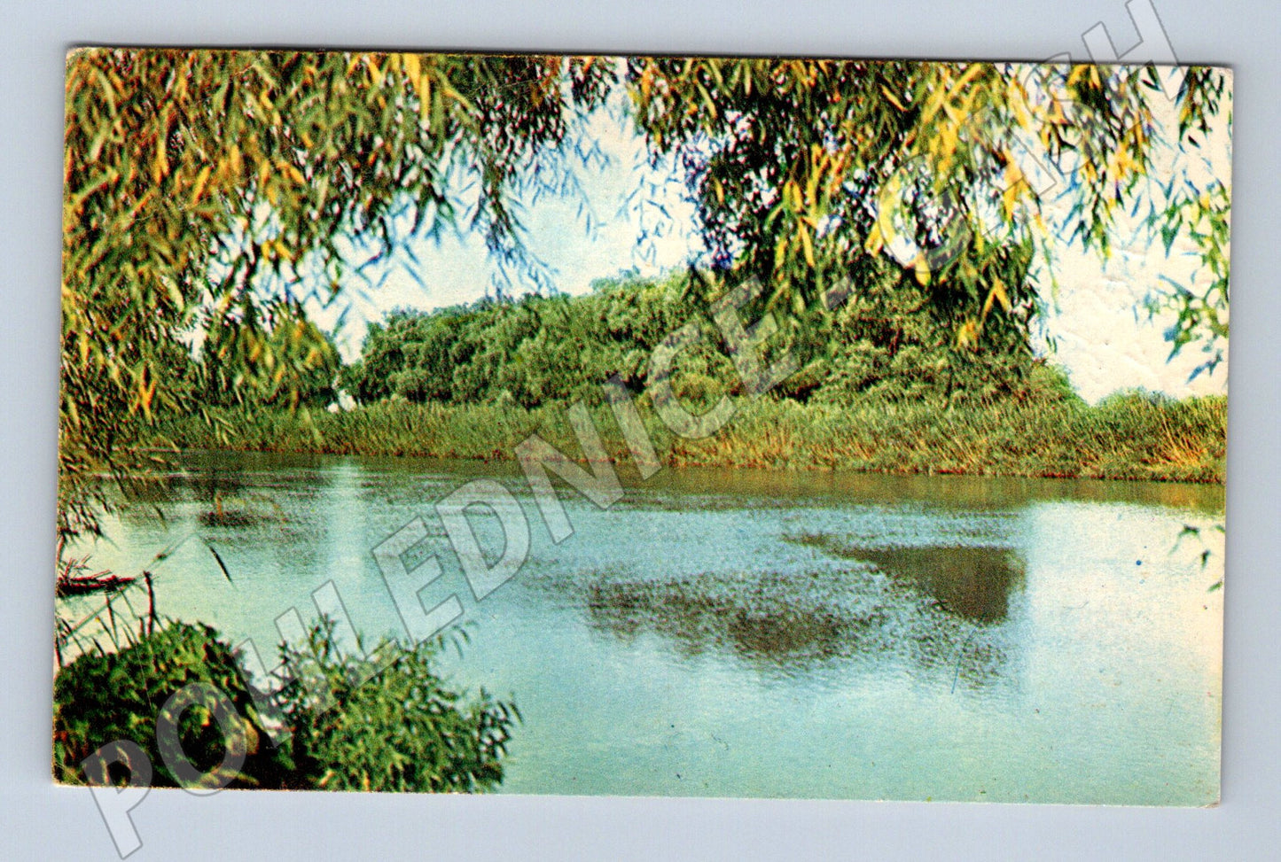 Pohlednice Rusko Delta Volhy příroda 1969 (M31633)