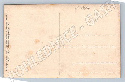 Pohlednice muž v uniformě F Lettners Nachf Vídeň (M3164)