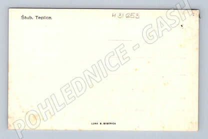 Pohlednice Slovensko Stubnianske Teplice krávy (M31653)