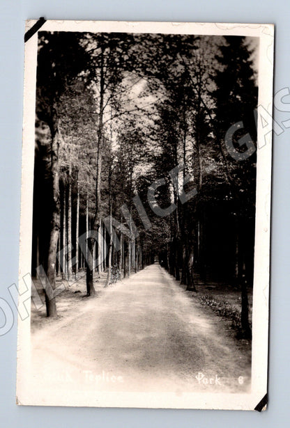 Pohlednice Teplice Park (M31654)