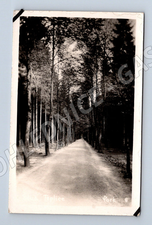 Pohlednice Teplice Park (M31654)