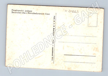 Pohlednice Slovensko Demänovské jaskyne Smútočná vŕba (M31663)