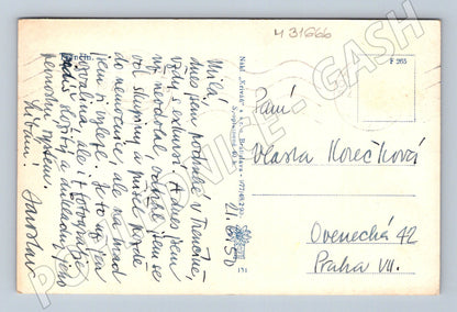 Pohlednice Slovensko Trenčín hrad 1950 (M31666)