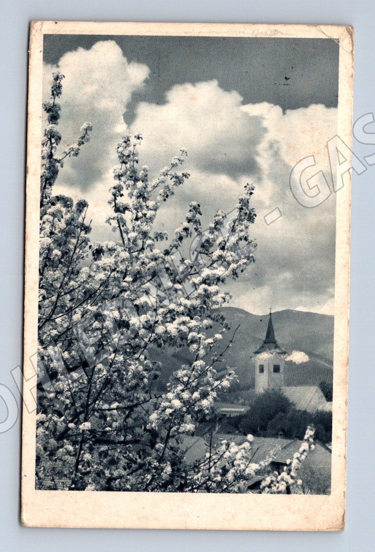 Pohlednice Slovensko Martin kostel kvetoucí strom 1930 (M31679)