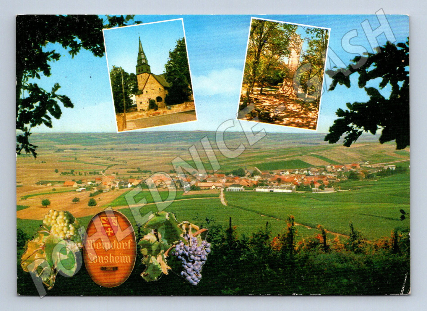 Pohlednice Německo Lonsheim panorama kostel vinice 1970 (M31751)