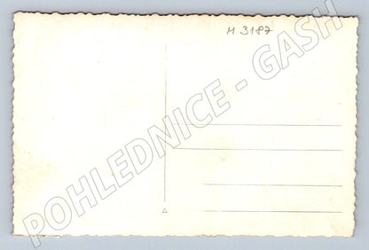 Postcard portrait of a soldier in black and white uniform (M3187)