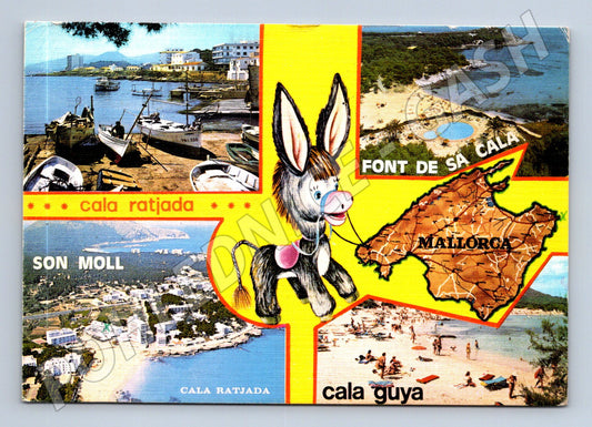 Pohlednice Španělsko Mallorca Cala Ratjada letoviska oslík (M31886)