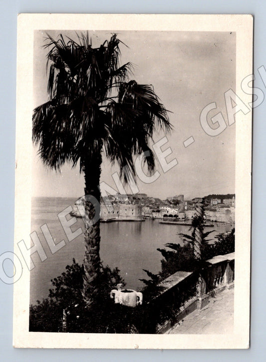 Pohlednice Chorvatsko Dubrovnik palma pobřeží 1952 (M31940)