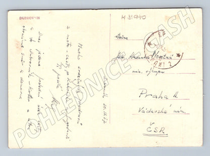 Pohlednice Chorvatsko Dubrovnik palma pobřeží 1952 (M31940)