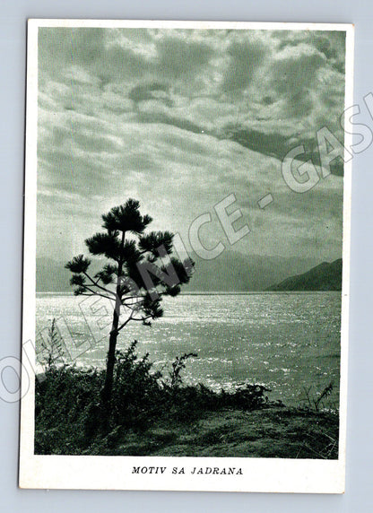 Pohlednice Chorvatsko motiv z Jadranu (M31953)