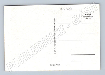 Pohlednice Chorvatsko Jadran moře a stromy (M31957)