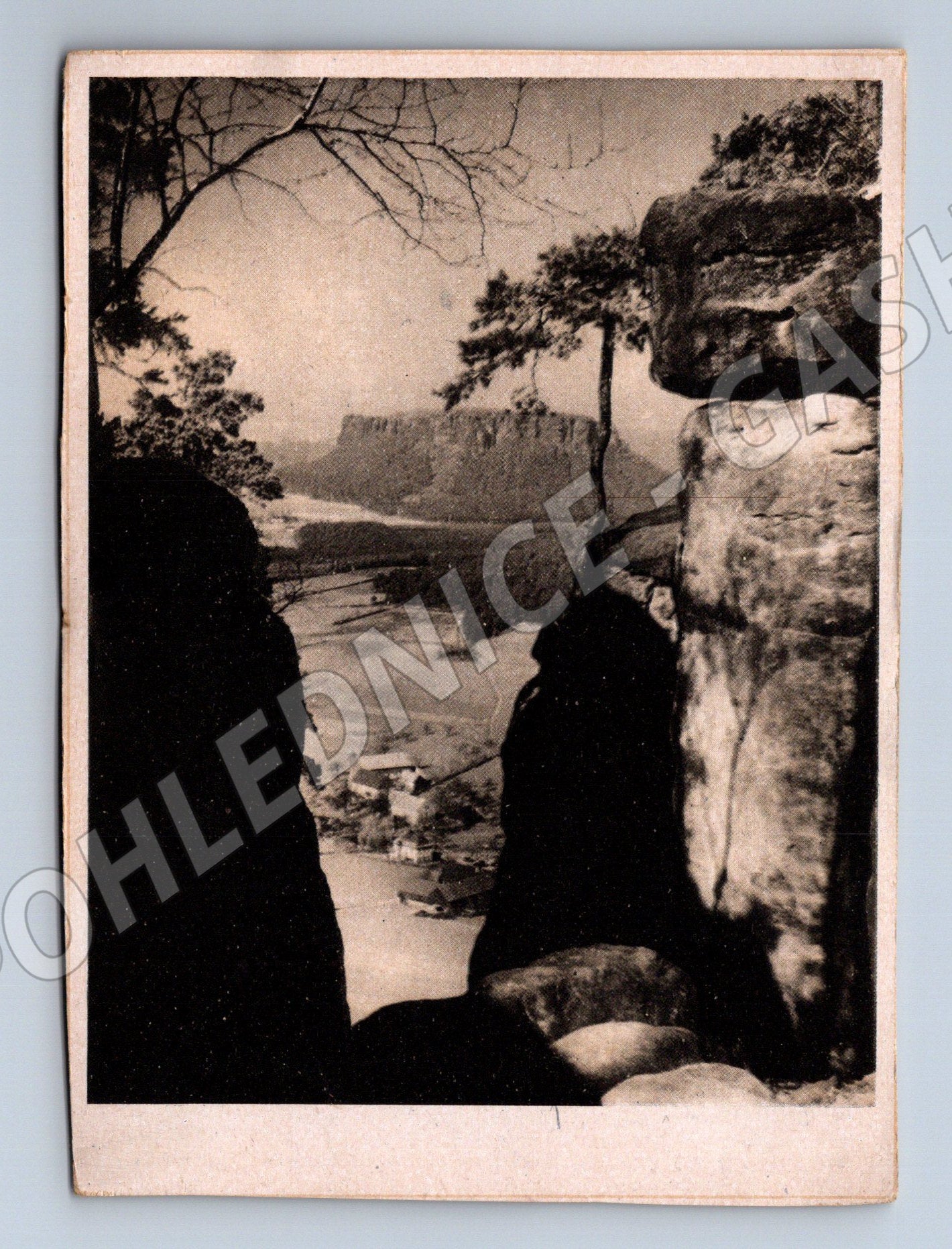 Pohlednice Německo Saské Švýcarsko Königstein (M31967)