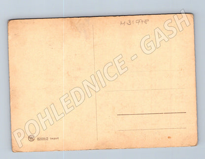 Pohlednice lesni motiv priroda (M31978)