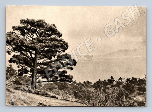 Pohlednice Rusko a SSSR Sudak krajina 1956 (M31986)
