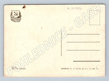 Pohlednice Rusko a SSSR Sudak krajina 1956 (M31986)