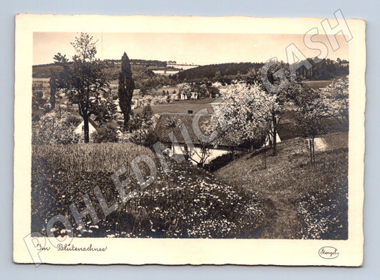 Pohlednice Německo jarní krajina květy (M32023)