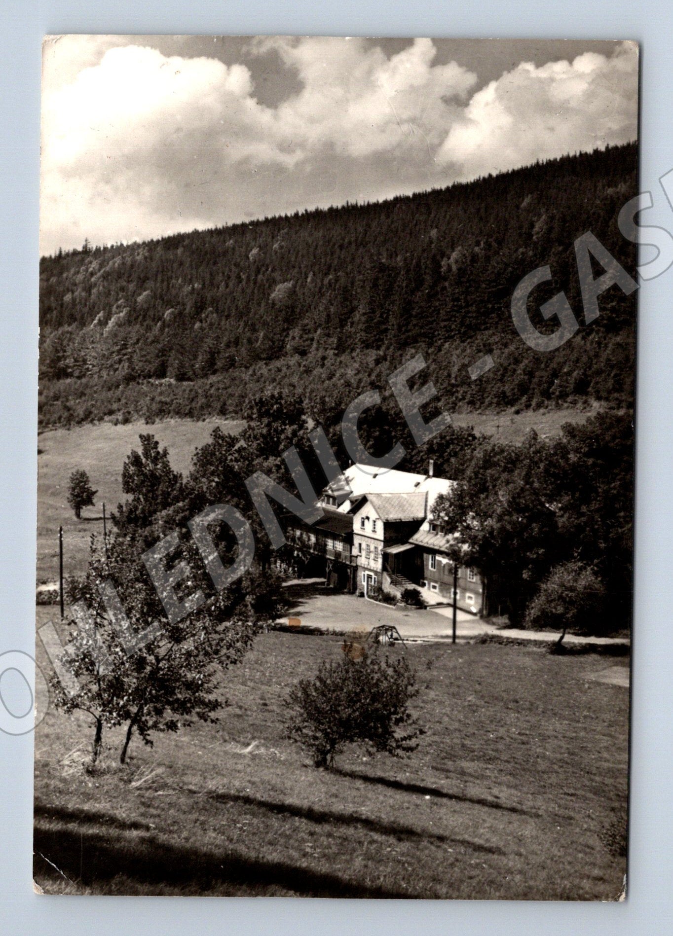 Pohlednice Olešnice v Orlických horách Chata Cihalka 1969 (M32103)