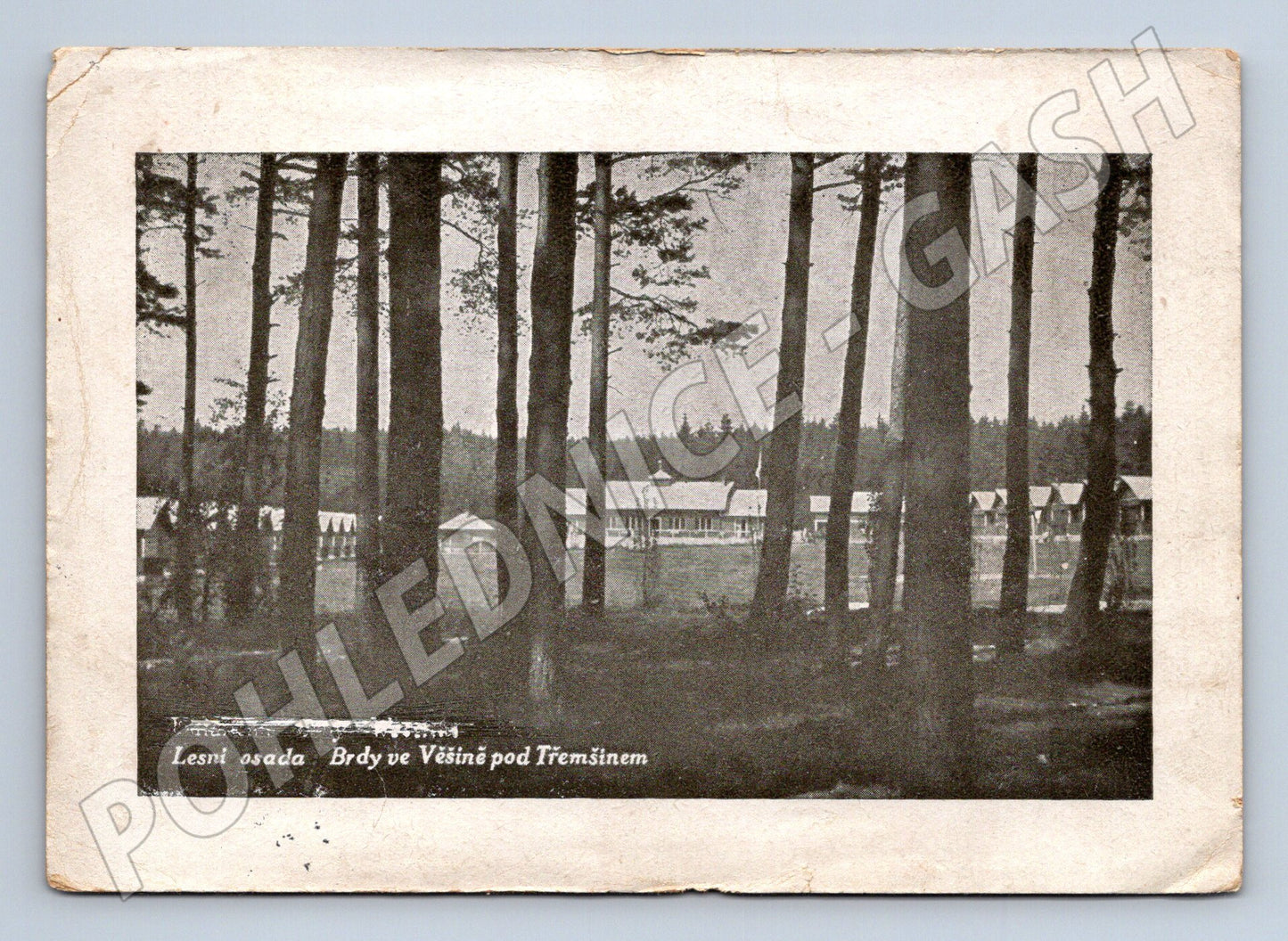 Pohlednice Věšín Brdy Lesní letovisko 1937 (M32127)