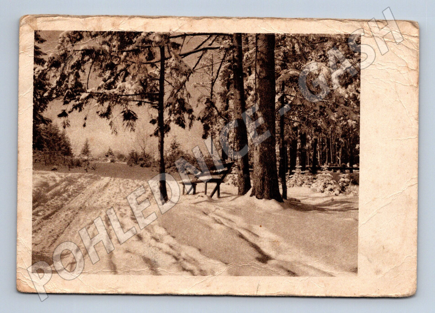 Pohlednice zasněžená lesní cesta s lavičkou 1945 (M32129)