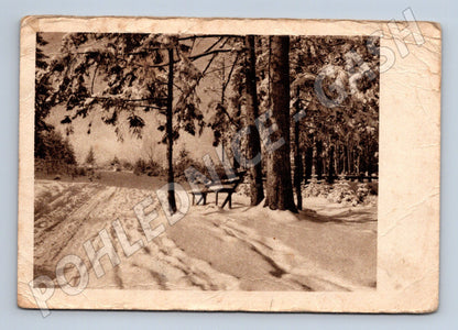 Pohlednice zasněžená lesní cesta s lavičkou 1945 (M32129)