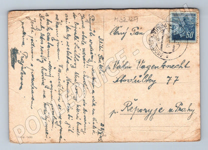 Pohlednice zasněžená lesní cesta s lavičkou 1945 (M32129)