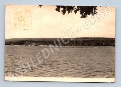 Pohlednice Plzeň Bolevecký rybník 1954 (M32138)