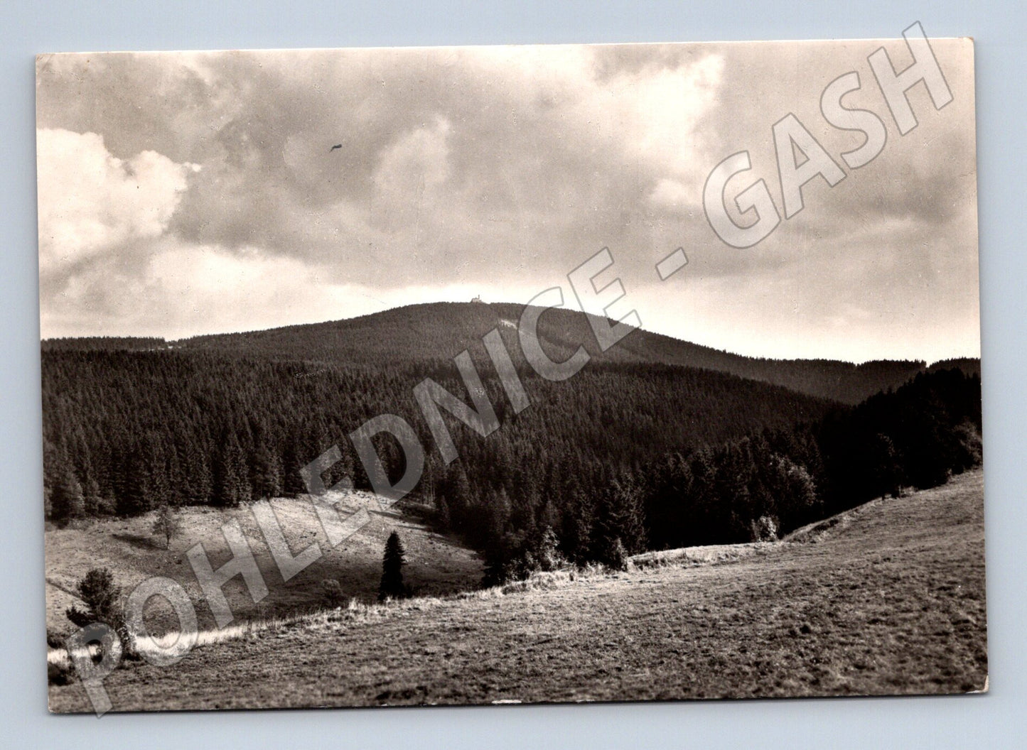 Pohlednice Krušné Hory Plešivec 1965 (M32156)