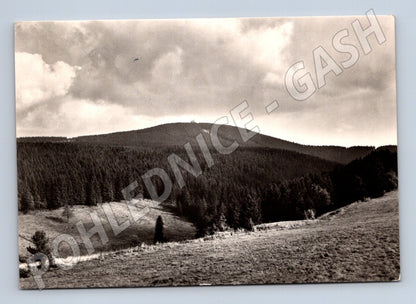 Pohlednice Krušné Hory Plešivec 1965 (M32156)