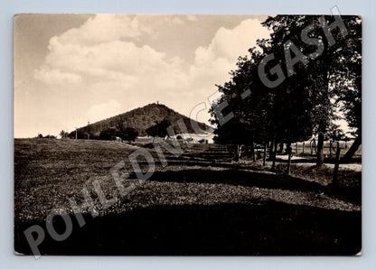 Pohlednice Česká Lípa krajina s kopcem a stromy 194x (M32180)